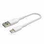 Belkin - Belkin CAB002BT0MWH c�ble USB 0,15 m USB A USB C Blanc 