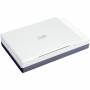 Microtek - Num�risation � plat 1200 x 2400DPI A4 Gris, Blanc