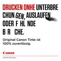 Can. Ink Pixma Ts615 5