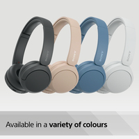 Sony 13