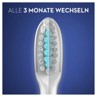 Oral-b 6