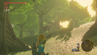 The Legend Of Zelda: Breath Of The Wild-spiel 4