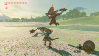 The Legend Of Zelda: Breath Of The Wild-spiel 6