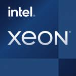 Intel - Intel Xeon Processeur � � E-2378 (16 Mo de cache, 2,60 GHz)